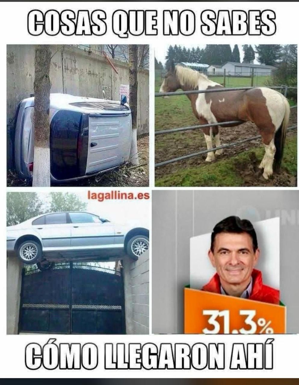 NOTICIA: Los mejores memes de la jornada electoral en Bolivia este 18 de agosto Los mejores memes de la jornada electoral en Bolivia este 18 de agosto