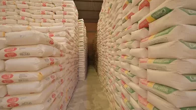 NOTICIA: Bajan precios de arroz, harina, aceite y huevo en Bolivia Bajan precios de arroz, harina, aceite y huevo en Bolivia