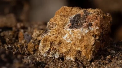 Bolivia Avanza Negociaciones con Irán para la Explotación de Minerales Raros