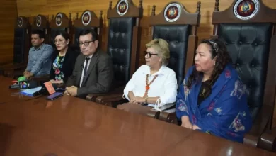 Diputada denuncia presión de magistrados autoprorrogados