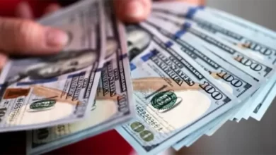 NOTICIA: Precio del Dólar en Bolivia Hoy Cotización Oficial y Paralelo (Actualizado) Precio del Dólar en Bolivia Hoy Cotización Oficial y Paralelo (Actualizado)
