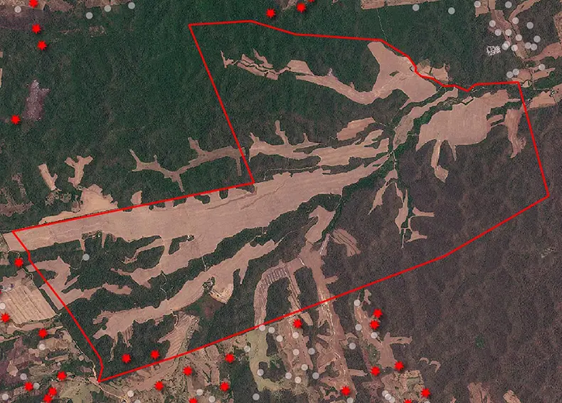 NOTICIA: El hijo menor del presidente Rafael Arce adquiere terreno con bosque protegido para desmonte El hijo menor del presidente Rafael Arce adquiere terreno con bosque protegido para desmonte