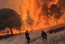 Incendios Forestales en España y Francia Dejan Evacuaciones