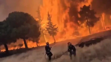 Incendios Forestales en España y Francia Dejan Evacuaciones