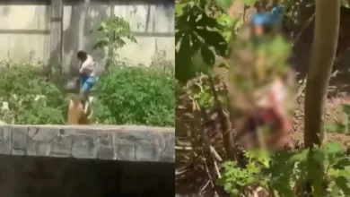 NOTICIA: Joven con esquizofrenia muere atacado por leona en Brasil Joven con esquizofrenia muere atacado por leona en Brasil