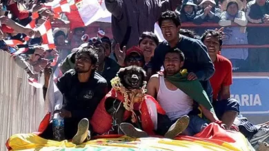NOTICIA: Potosí llora la partida de Petardo, el perro que se convirtió en símbolo de lucha y unidad Potosí llora la partida de Petardo, el perro que se convirtió en símbolo de lucha y unidad