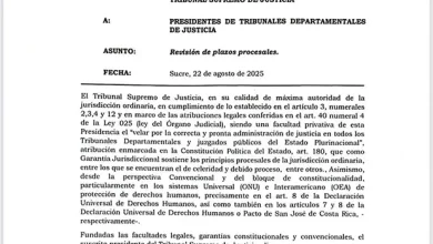 TSJ ordena revisión urgente de detenciones preventivas de Añez, Camacho y Pumari en Bolivia